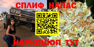 твердый Малоярославец