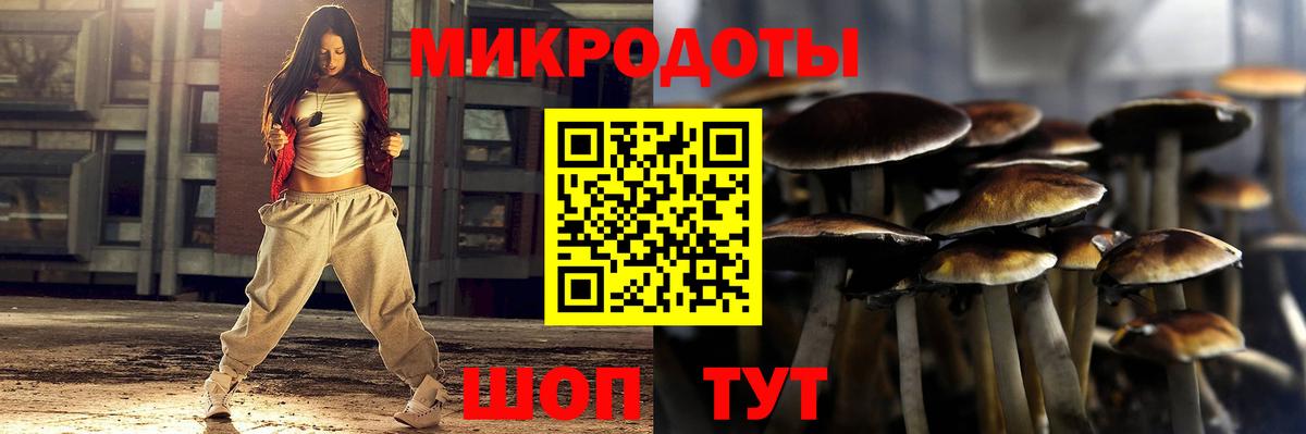 Псилоцибиновые грибы Magic Shrooms  Галлюциногенные грибы Magic Shrooms  Вход с VPN  Жуковский 